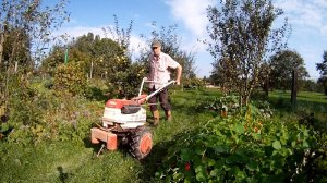 Einachser im Garten