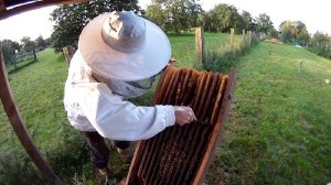 Honigernte Bienenkiste Vorbereitungen