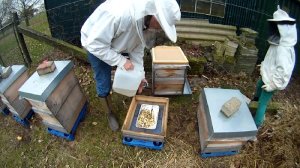 Bienen fuettern