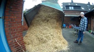 Holzhackschnitzel im Garten