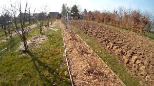 Mulchgarten mit Holzhackschnitzeln