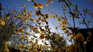 Eine komplette Gartensaison in einem Video Teil 1