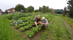 Gruenkohl fuer Selbstversorger