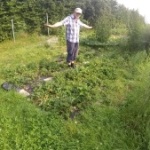Mulchfolie Beitragsbild