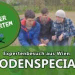Bodengesundheit im Garten Beitragsbild