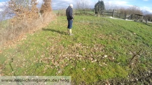 Garten nach dem Winter