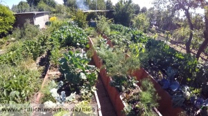 Hochbeete im Garten richtig bauen