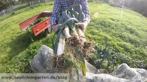 Zutaten fuer eine Gemüsesuppe