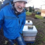 Bienenupdate Beitragsbild