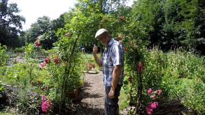 Gemeinschaftsgarten Essen