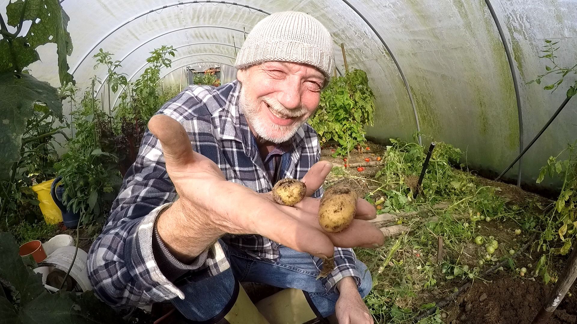 TomTat, die Kartoffeltomate, oder warum es nur einen “Gott der