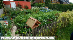 Saatgutvermehrung im Garten