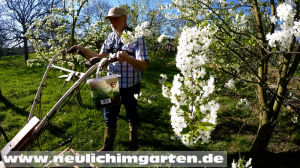 Fruehjahr im Garten