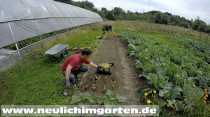 The urban Farmer Curtis Stone