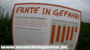 Die Ernte in Gefahr