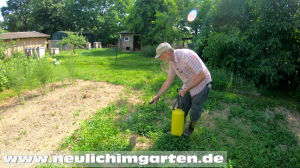 Finalsan im Garten