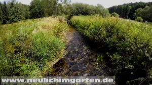 Natuerlicher Bachlauf
