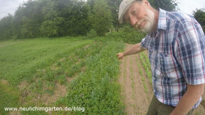 Komposttee im Garten