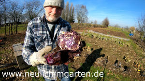 Gemuese im Winter erfroren