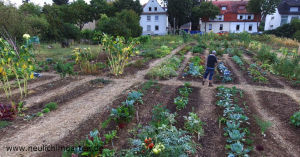 Gartenyoutuber bei der Arbeit