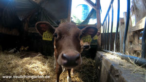 Ein Dank an alle, die fuer uns die Biolebensmittel produzieren.