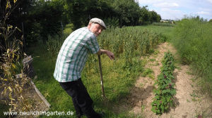 Ich sehe das Elend schon kommen