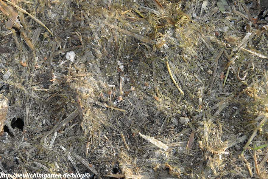 Verschiedene Wege Beete ueber den Winter zu bringen – Selbstversorgung