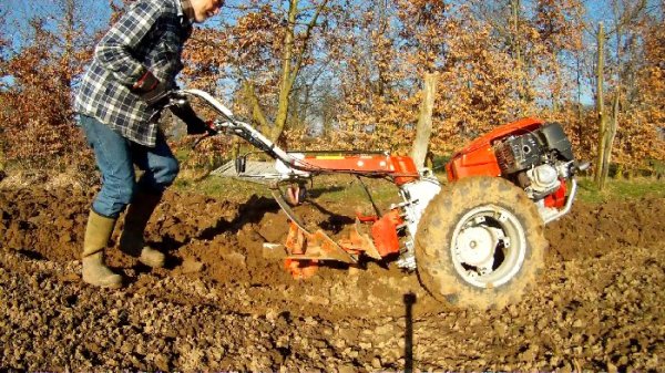 So pfluege ich meinen Garten, oder Gartenvorbereitung Teil 1. (Video