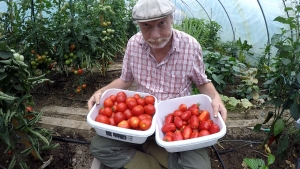 Ein komplettes Gartenjahr Teil 2