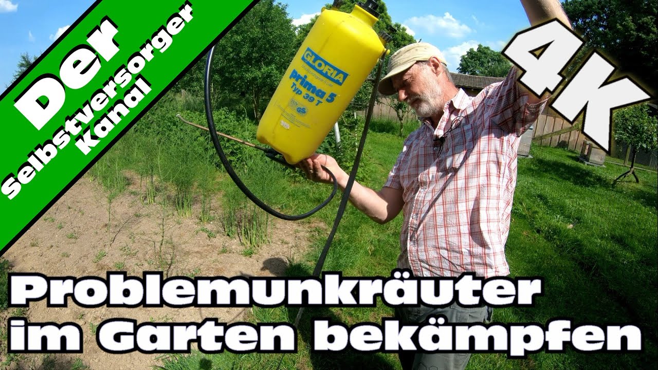 Die Misere mit der Ackerwinde, oder warum ich es jetzt mit Chemie