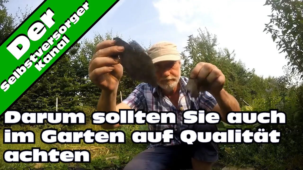 Warum Kann Ich Keine Videos Anschauen Im Internet
