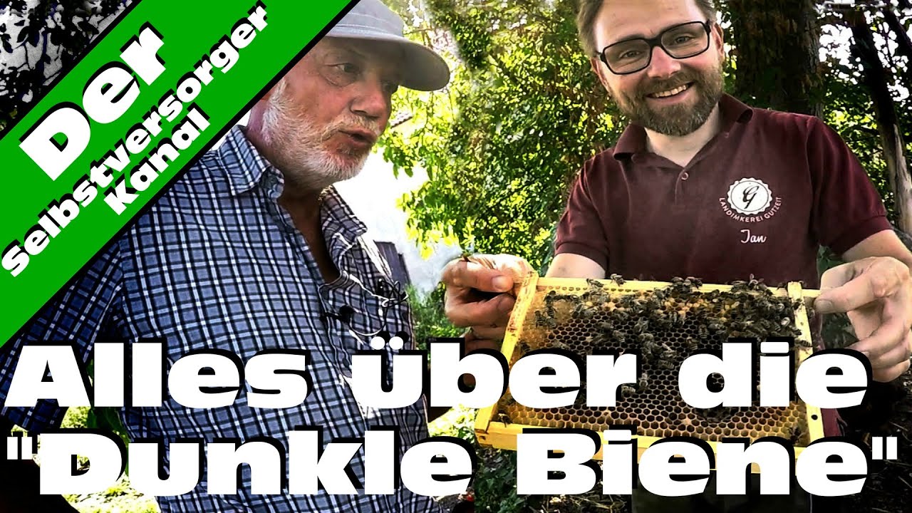 Warum Kann Ich Keine Videos Anschauen Im Internet